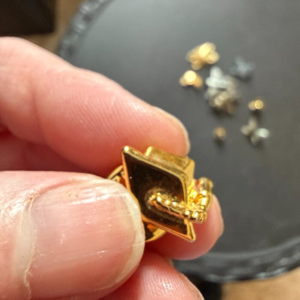 Assorted Insect Brooch Set - Picture 4 of 12